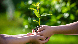 従来のコーティング剤と異なり、液剤にVOC（揮発性有機化合物）を含みません。 人と環境にやさしいコーティング剤です。